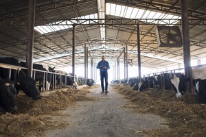 Nederland Vleesland brengt boer en burger dichter bij elkaar