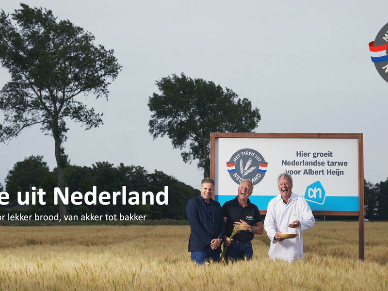 Albert Heijn gebruikt tarwe uit Nederland voor haar broodassortiment